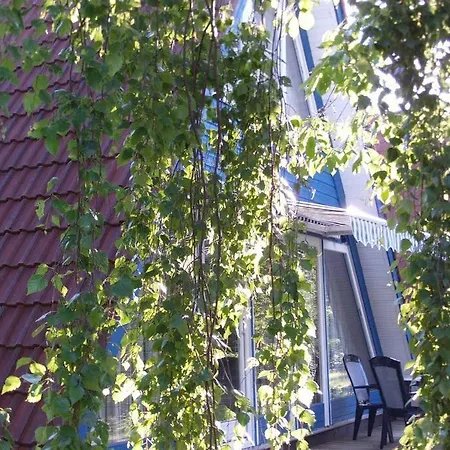 Kornblume Ferienhaus